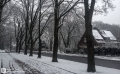 Schnee in Homberg